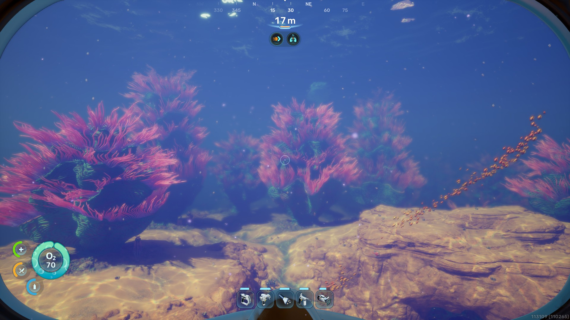 Anemone Hills