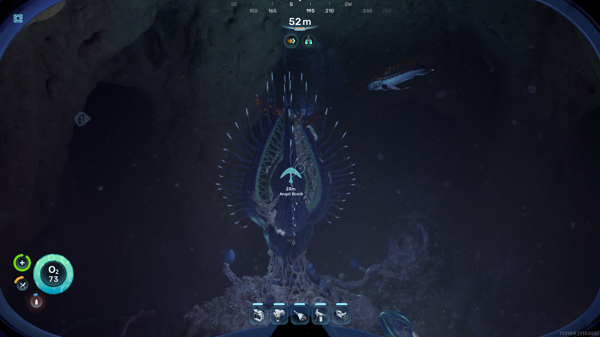 Blighted Coral