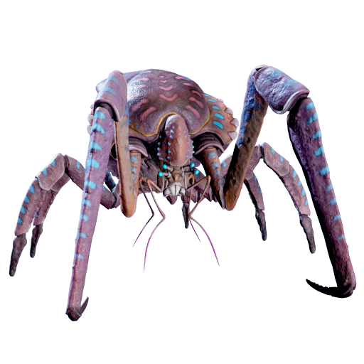 Coral Crab