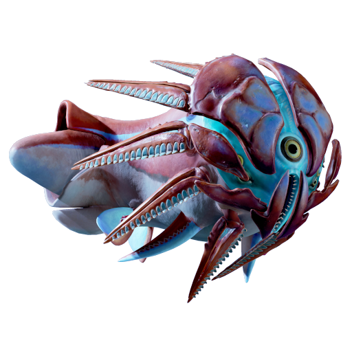 Hammerhead