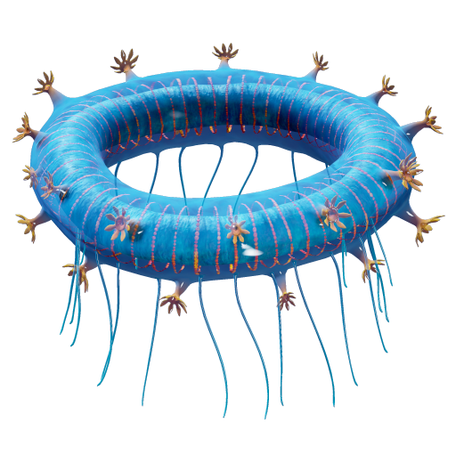 Jelly Ring