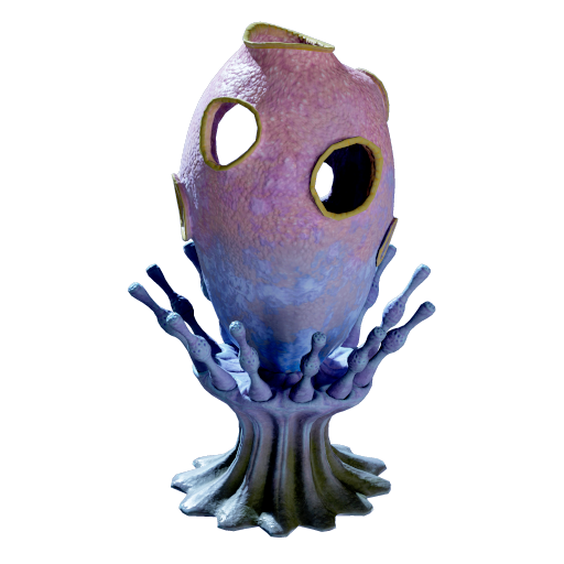 Amphora Sponge