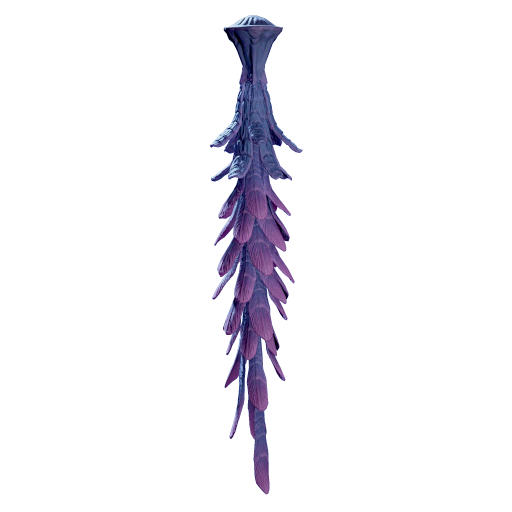 Boa Kelp