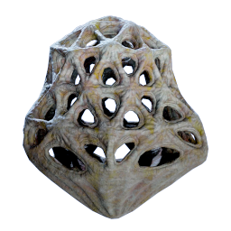 Cage Gorgon
