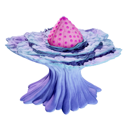 Coral Cabbage