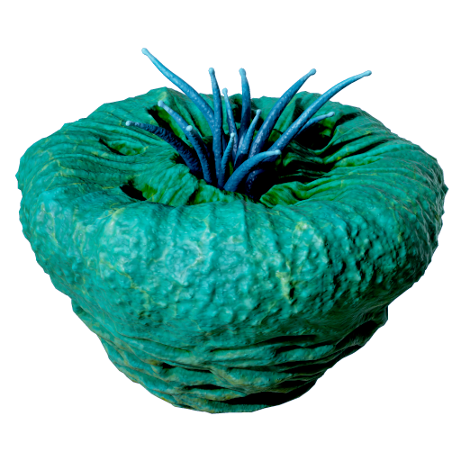 Donut of Worms