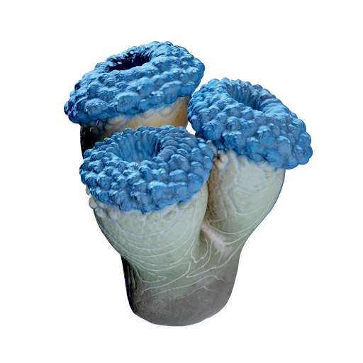 False Fission Drum
