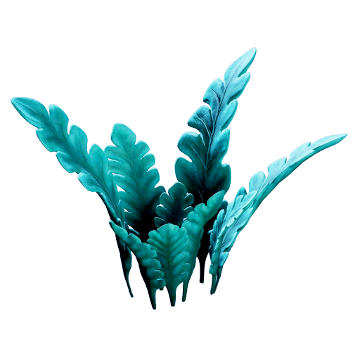 Glow Lettuce