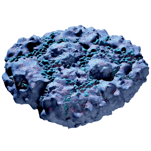 Pebbled Sporal