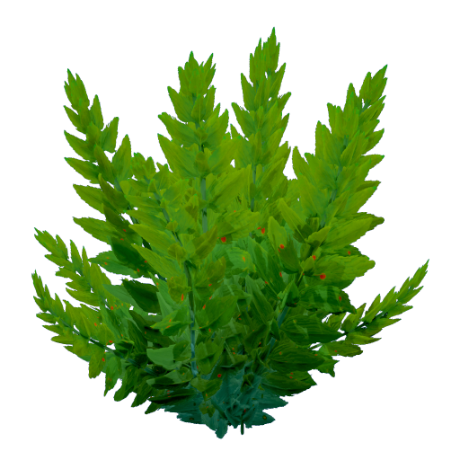 Plant Bush Algae