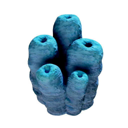 Poison Tube Cluster