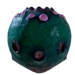 Stilt Orb
