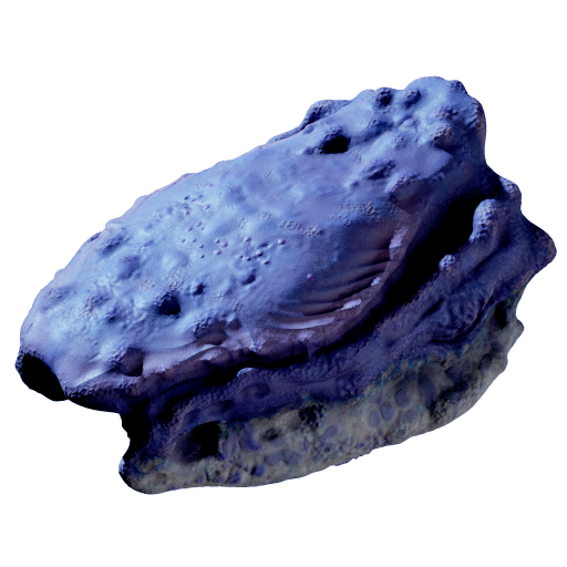 Titan Rockbore