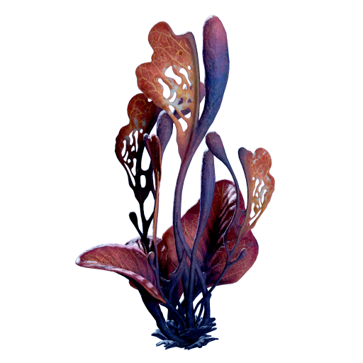Wortwort