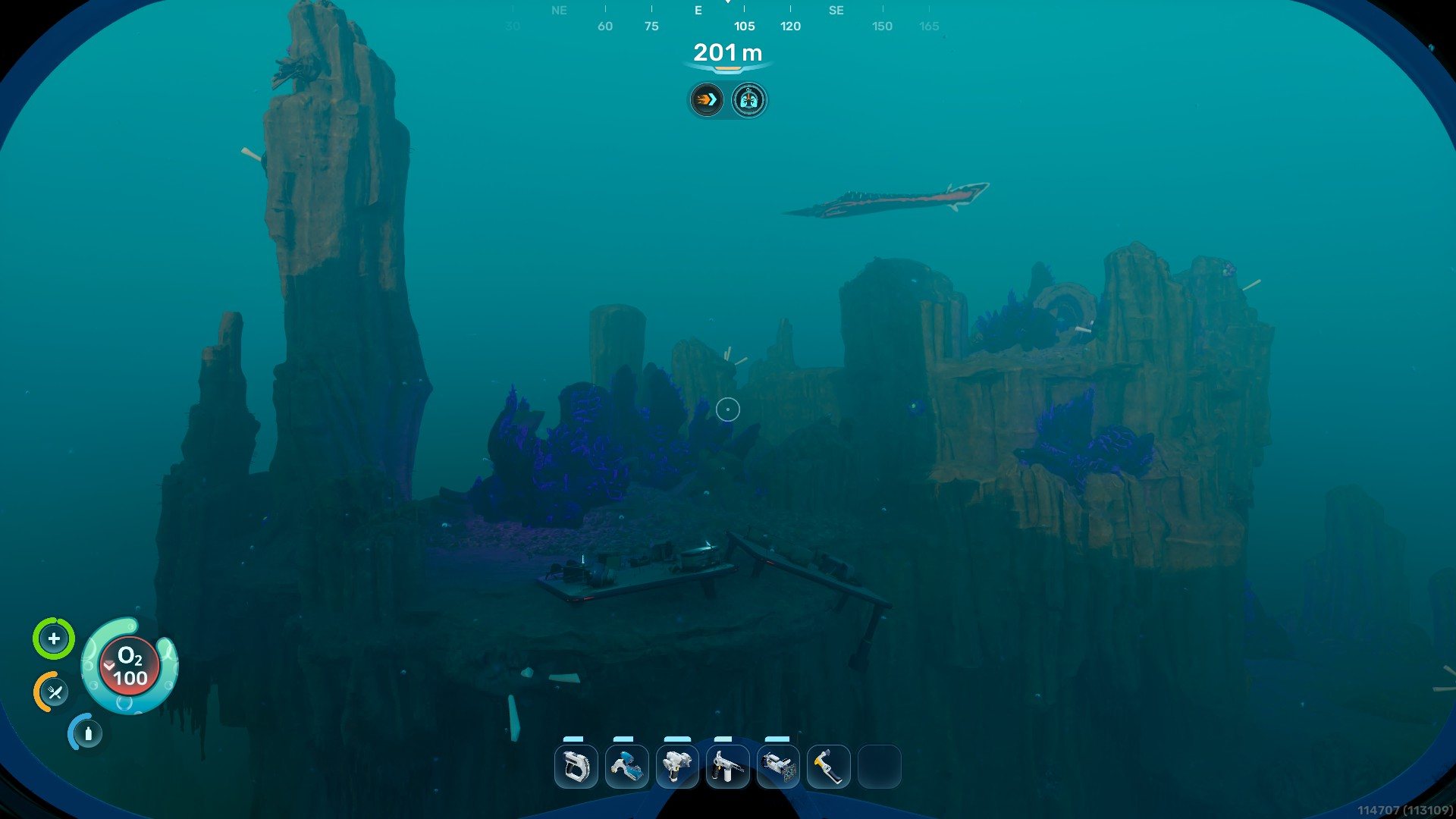 Needler Nest
