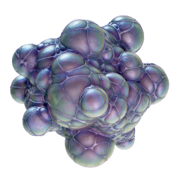 Axum Bacterial Culture