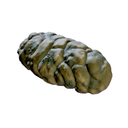 Crab Feces
