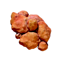 Coral Shavings