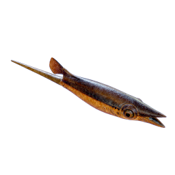 Cooked Black Hoverthorn