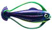 Hoopfish