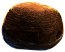 Sandstone Outcrop