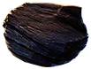 Shale Outcrop