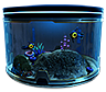 Acuario alienígena