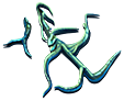 Bloodroot