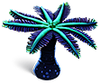 Palmera azul