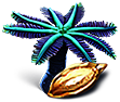 Semilla de palmera azul
