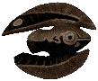 Cooked feather fish