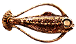 [MISSING: cookedhoopfish]