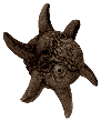 Cooked spinnerfish