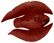 Cured feather fish