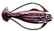 [MISSING: curedhoopfish]