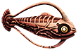 [MISSING: curedspinefish]