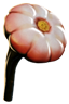 deeplilyshroom