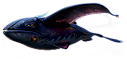 Glow Whale