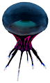 Medusa ocular