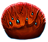Muestra de placa de coral