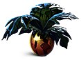 Marblemelon