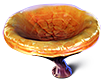 Copa Jaffa