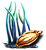 Purple Tentacle Seed