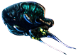 Reefback