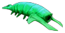 Rocolarva