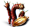 Semilla de planta tigre