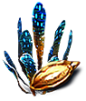 Spotted dockleaf seed