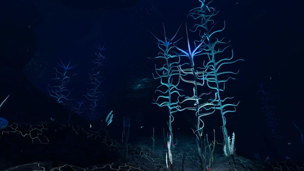 Blood Kelp Zone