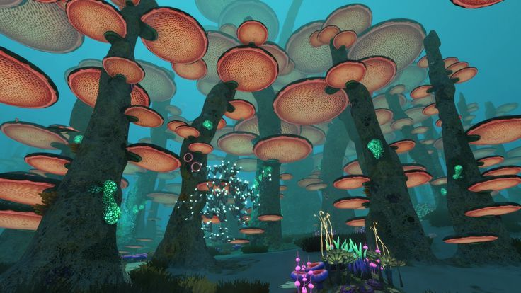Mushroom Forest