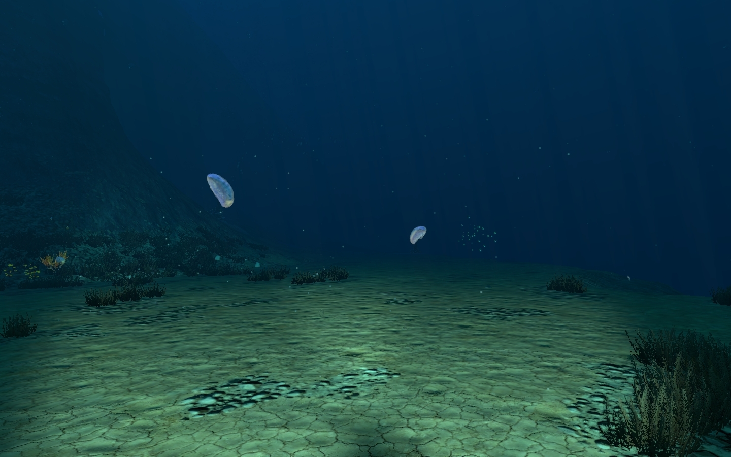 Sea Treaders Path
